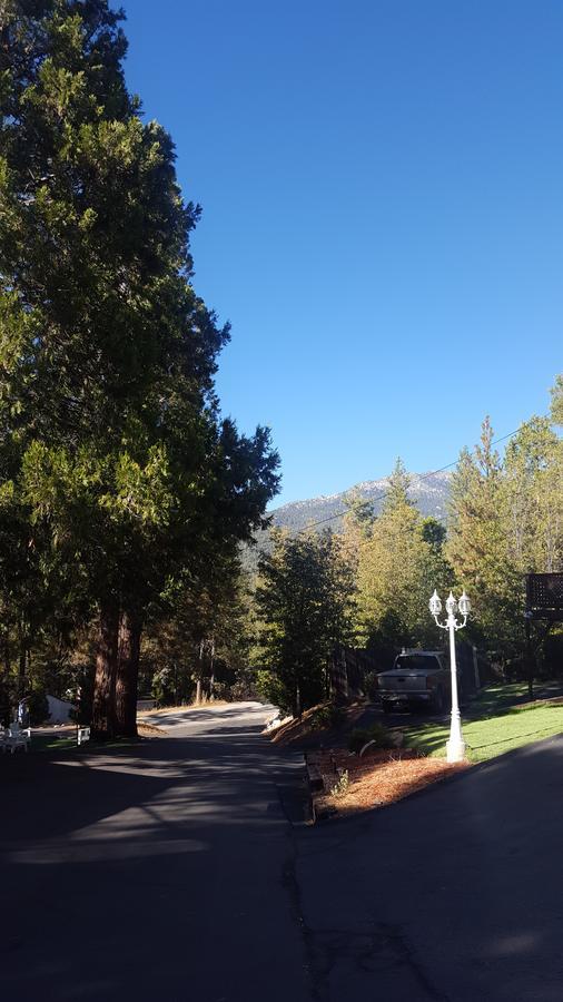 Bluebird Cottage Inn Idyllwild Exterior foto