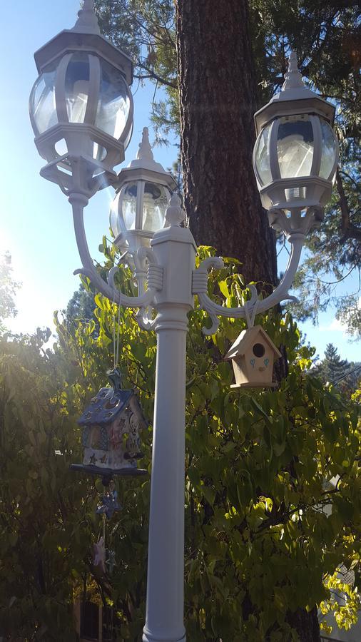 Bluebird Cottage Inn Idyllwild Exterior foto